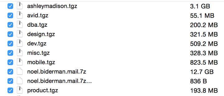 Ashley Madison Hacker 18GB Data